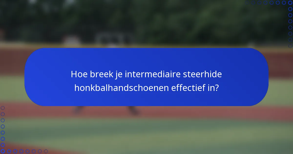 Hoe breek je intermediaire steerhide honkbalhandschoenen effectief in?