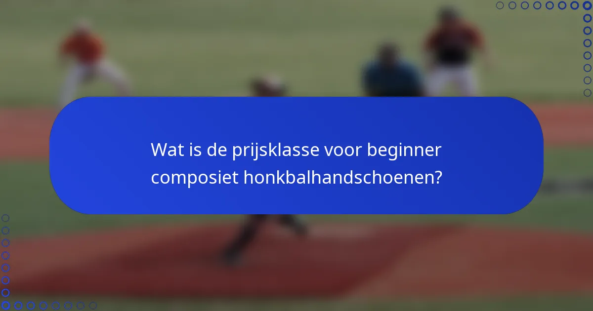 Wat is de prijsklasse voor beginner composiet honkbalhandschoenen?