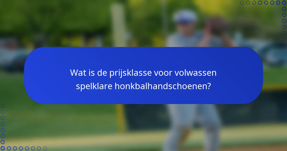 Wat is de prijsklasse voor volwassen spelklare honkbalhandschoenen?
