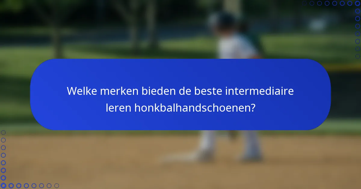 Welke merken bieden de beste intermediaire leren honkbalhandschoenen?
