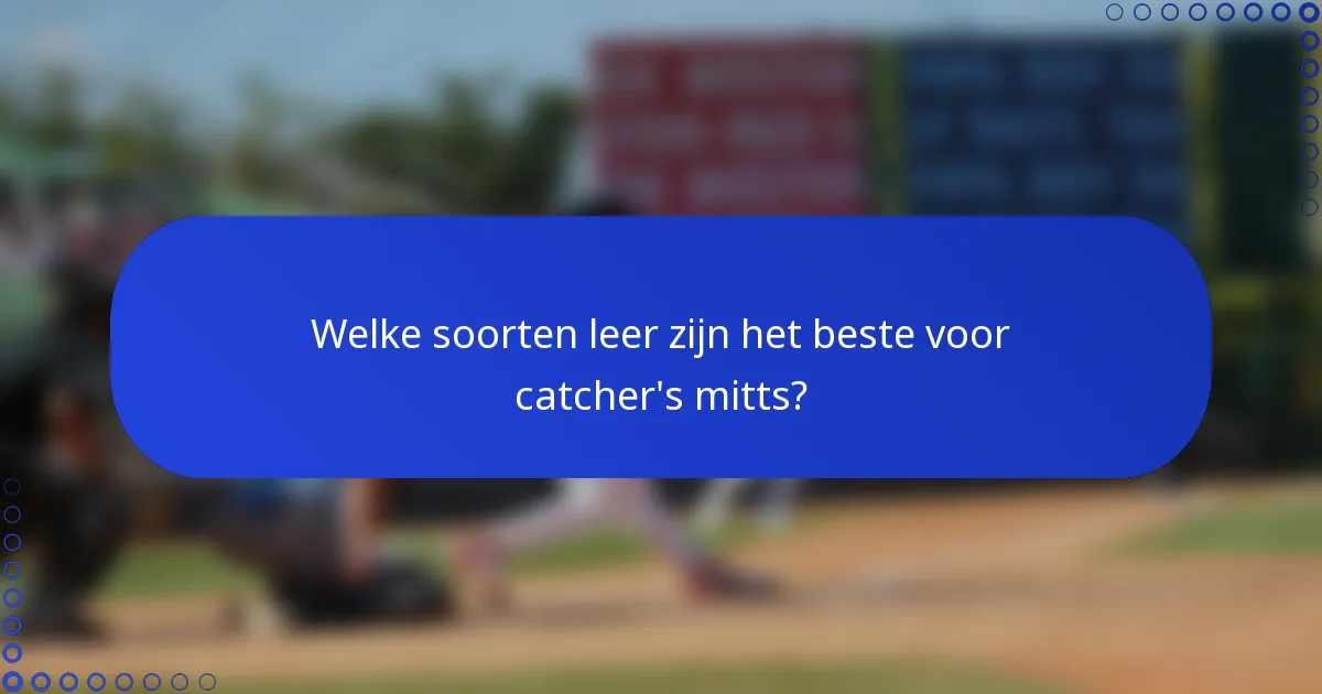 Welke soorten leer zijn het beste voor catcher's mitts?